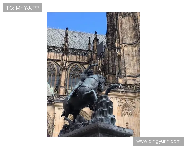 布莱克尼的神秘魅力探寻与历史文化之旅